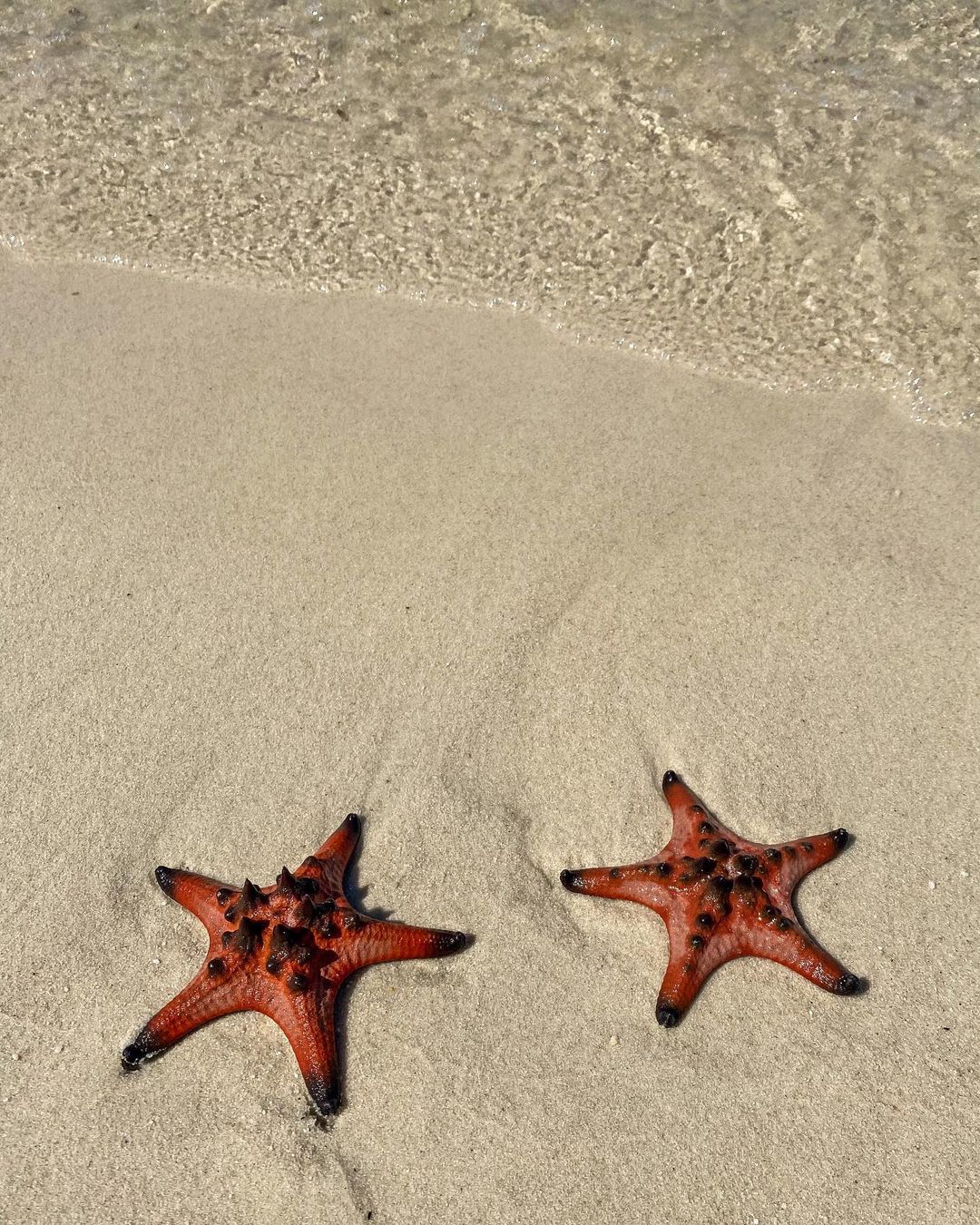 Bãi Sao Phú Quốc Bãi Sao Phú Quốc