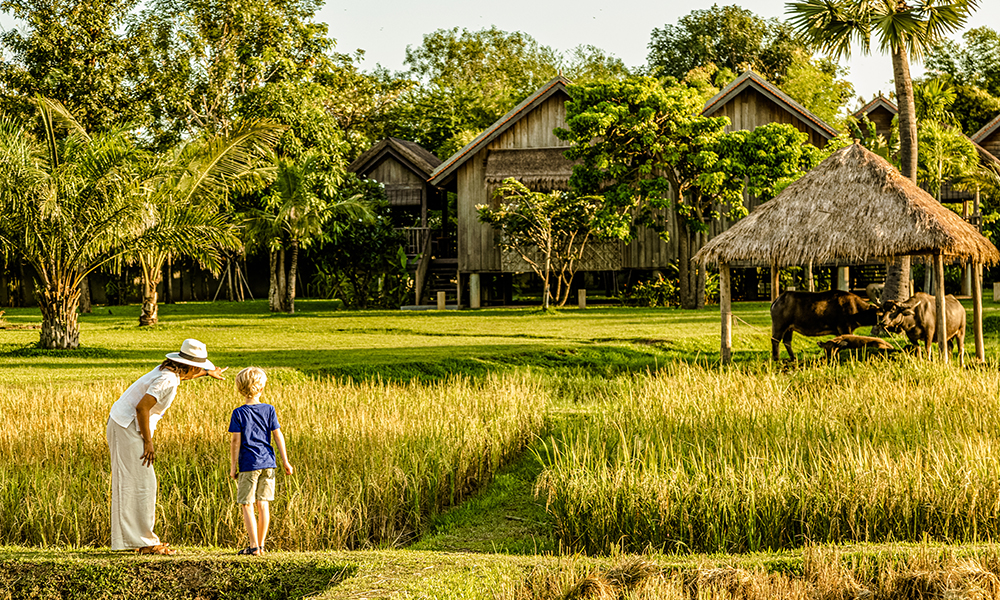 Phum Baitang Siem Reap, Siem Reap, Campuchia 01