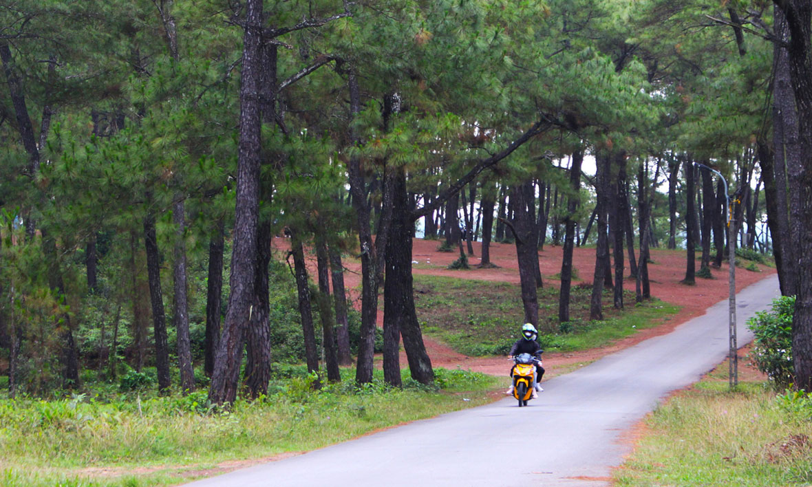 Du lịch huế phim mắt Biếc - đồi Thiên An Du lịch huế phim mắt Biếc - đồi Thiên An