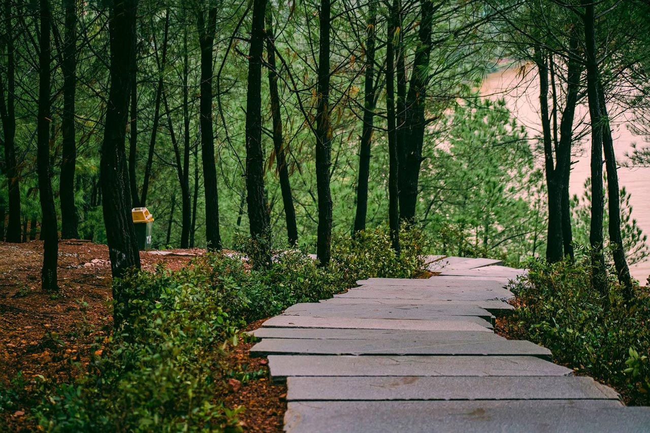 Du lịch Huế Phim Mắt Biếc Đồi Vọng Cảnh 01 Du lịch Huế Phim Mắt Biếc Đồi Vọng Cảnh 01