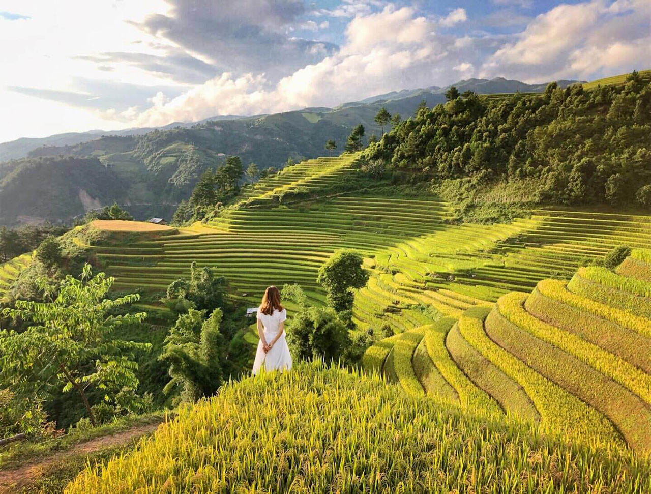 Mù Cang Chải mùa lúa chín 01