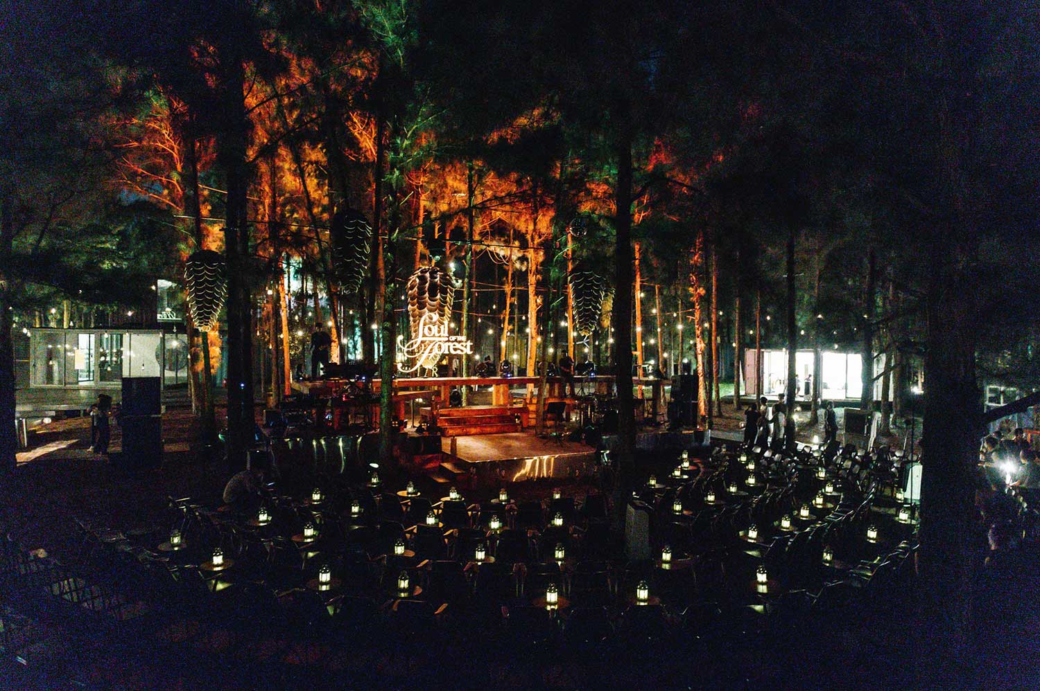 Show soul of the Forest Flamingo Đại Lải resort 03 Show soul of the Forest Flamingo Đại Lải resort 03