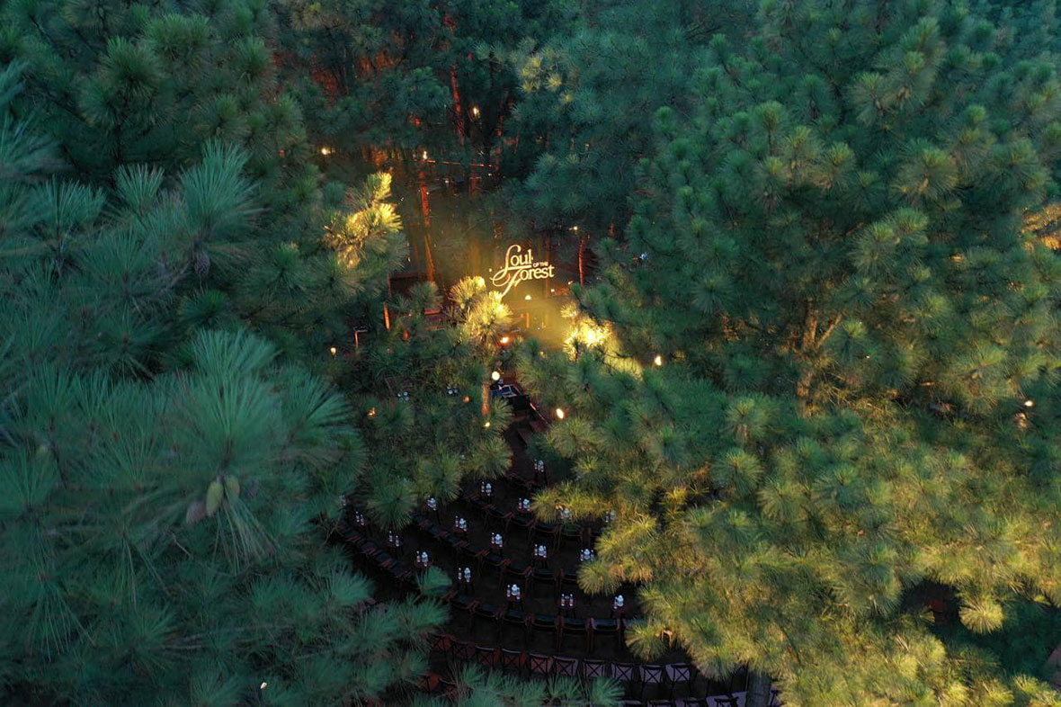 Show soul of the Forest Flamingo Đại Lải resort 01 Show soul of the Forest Flamingo Đại Lải resort 01