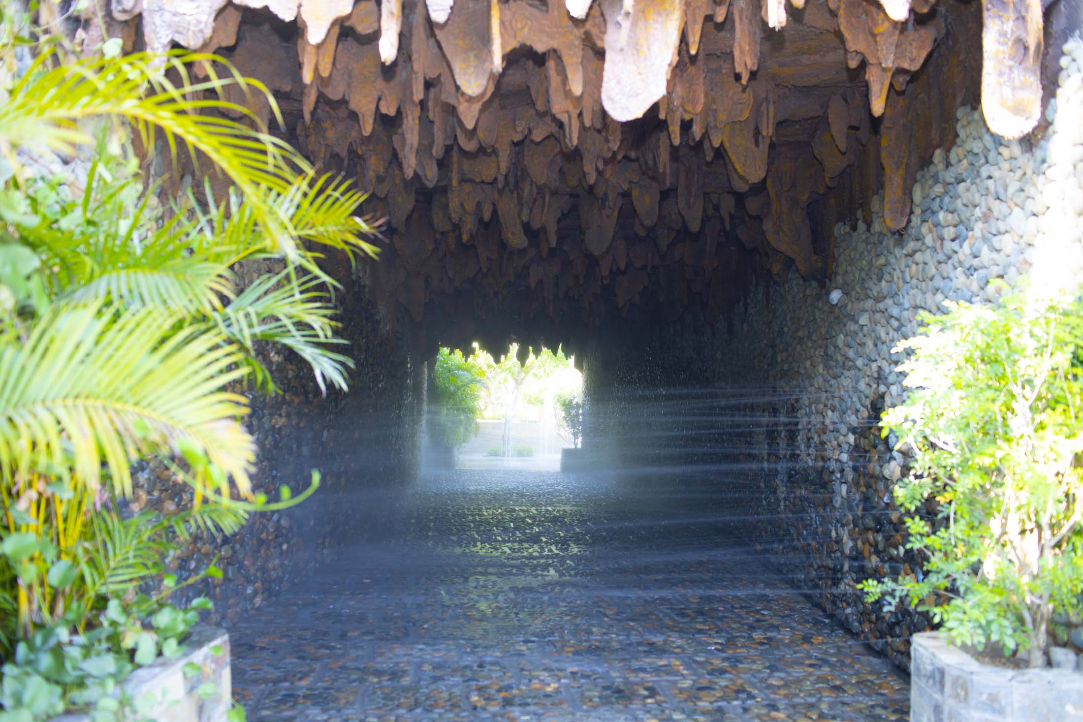 Tằm bùn Hòn Tằm Nha Trang 05 Tằm bùn Hòn Tằm Nha Trang 05