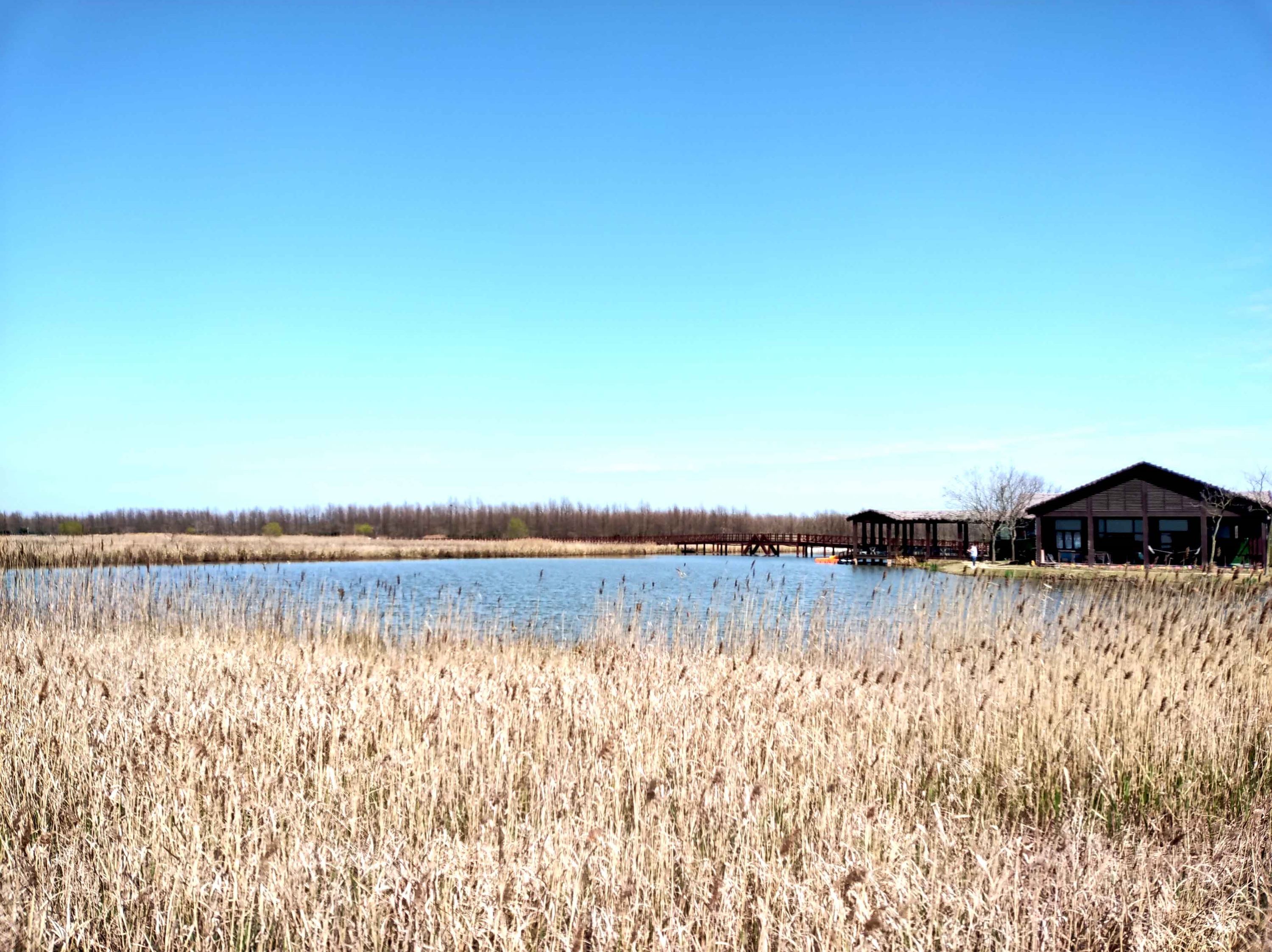 Những địa điểm du lịch Thượng Hải, Trung Quốc 01 Những địa điểm du lịch Thượng Hải, Trung Quốc 01