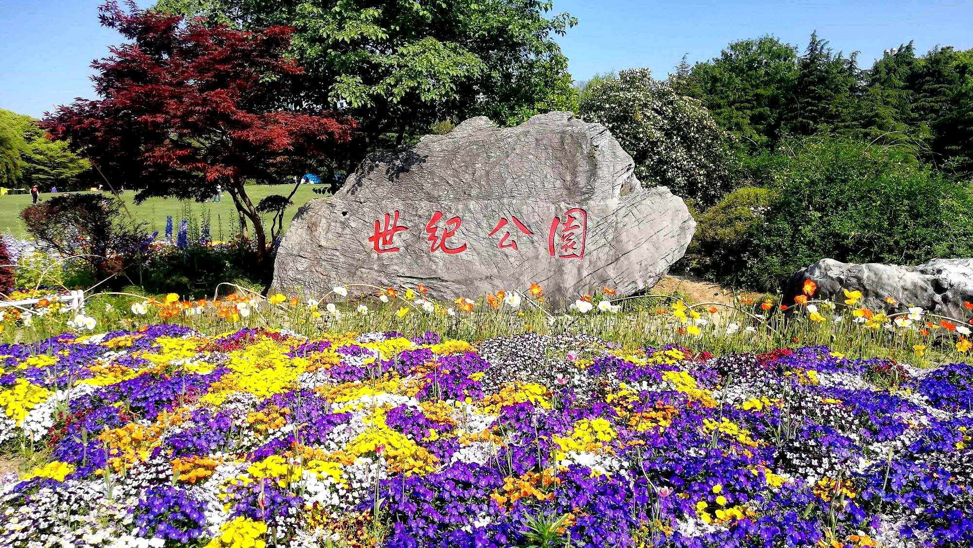 Những địa điểm du lịch Thượng Hải, Trung Quốc 06 Những địa điểm du lịch Thượng Hải, Trung Quốc 06