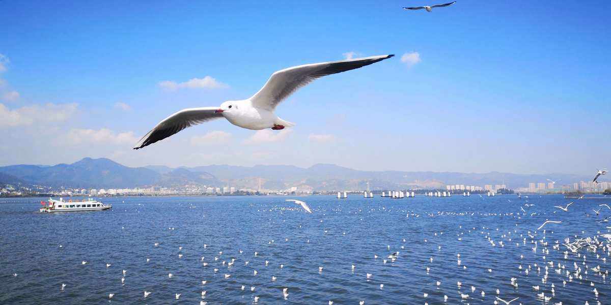 Hồ Điền Trì, Côn Minh, Trung Quốc Hồ Điền Trì, Côn Minh, Trung Quốc