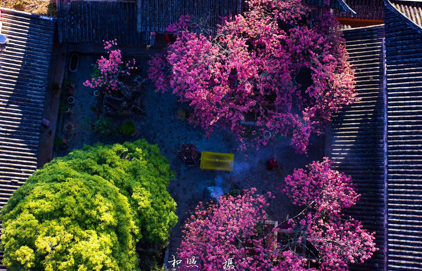 Du lịch Lệ Giang Du lịch Lệ Giang