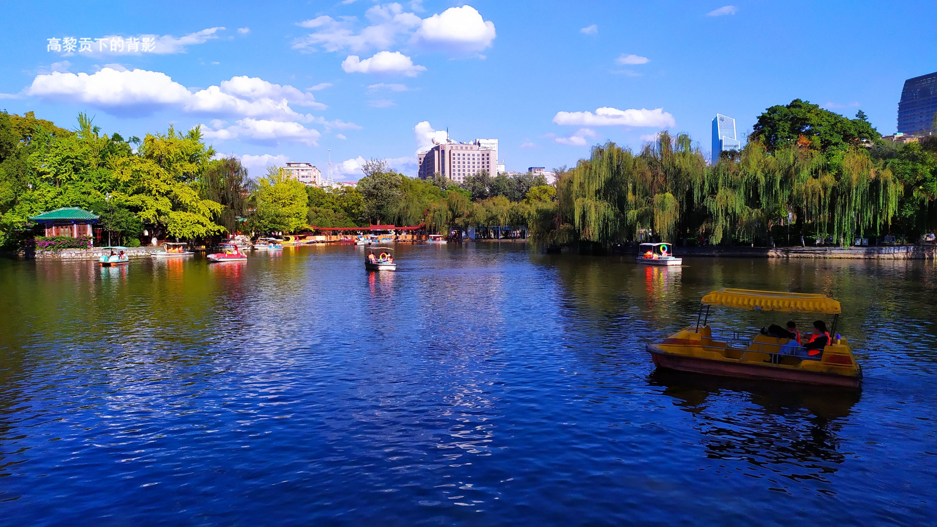 Thúy Hồ Thúy Hồ