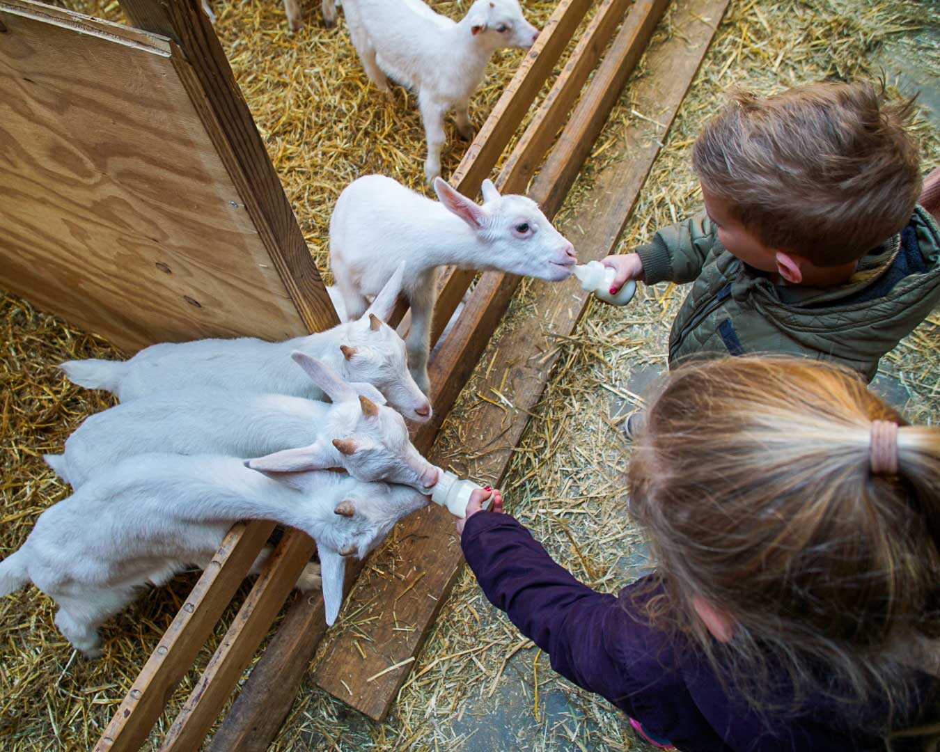 Trải nghiệm hấp dẫn khi đi du lịch Hà Lan Trải nghiệm hấp dẫn khi đi du lịch Hà Lan