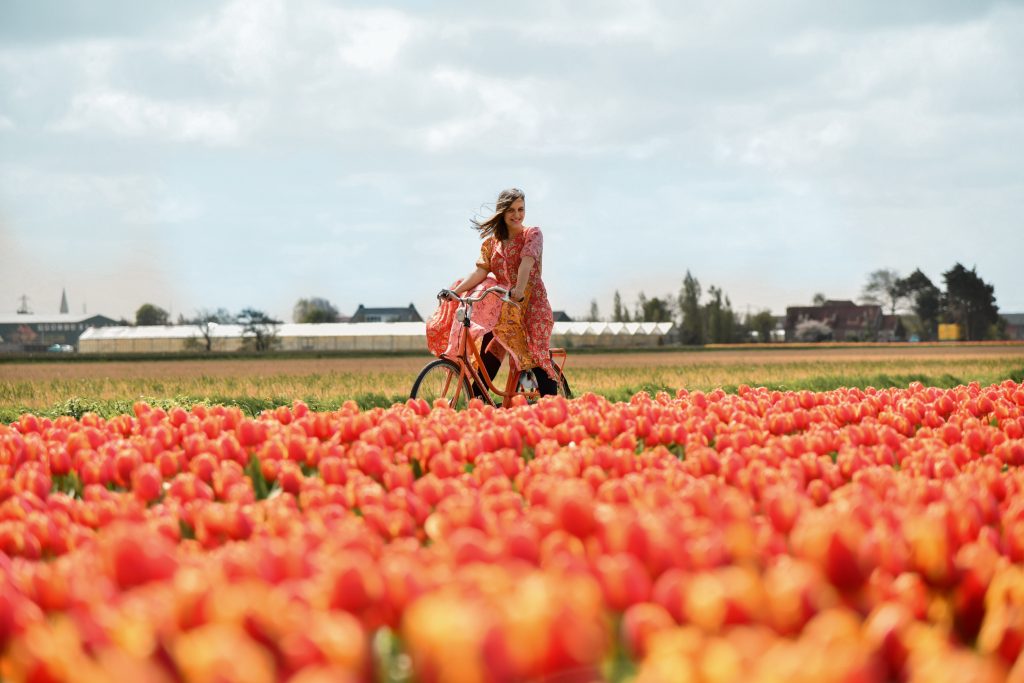 Địa điểm du lịch Hà Lan nổi tiếng Địa điểm du lịch Hà Lan nổi tiếng