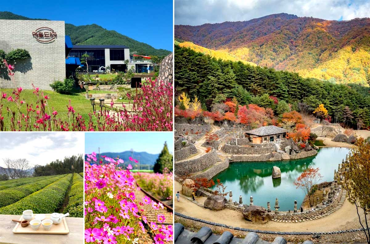 Hadong - Địa điểm du lịch mùa thu Hàn Quốc nổi tiếng