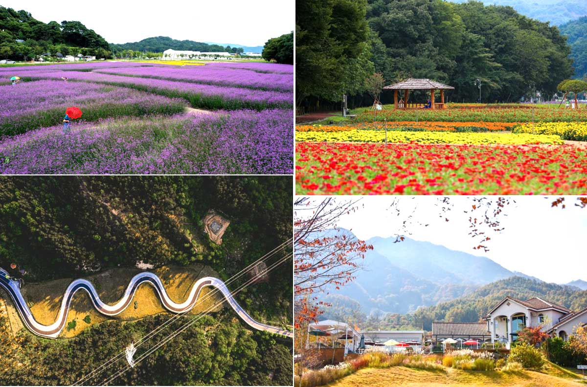 Hamyang - Địa điểm du lịch mùa thu Hàn Quốc nổi tiếng