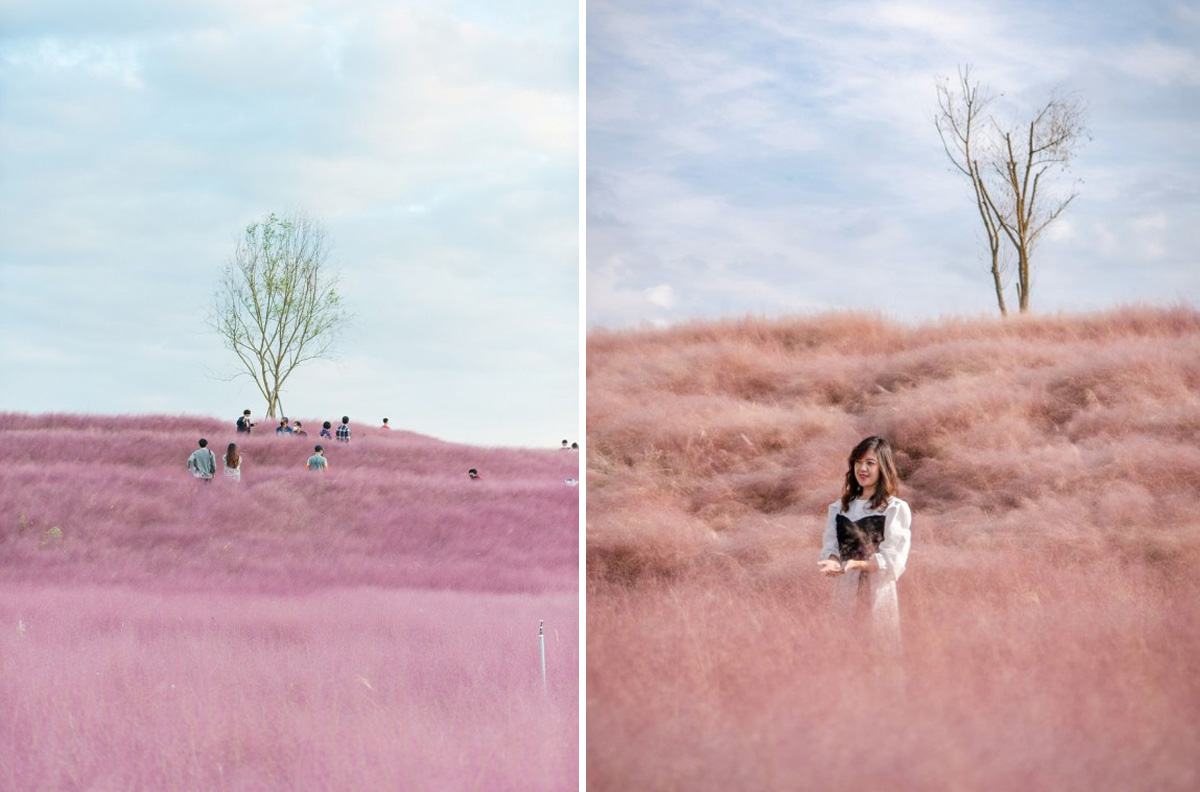 Hapcheon - Địa điểm du lịch mùa thu Hàn Quốc nổi tiếng