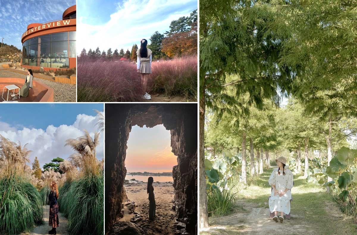 Taean - Địa điểm du lịch mùa thu Hàn Quốc nổi tiếng