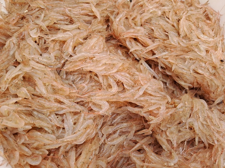 Món ngon Quảng Bình 12