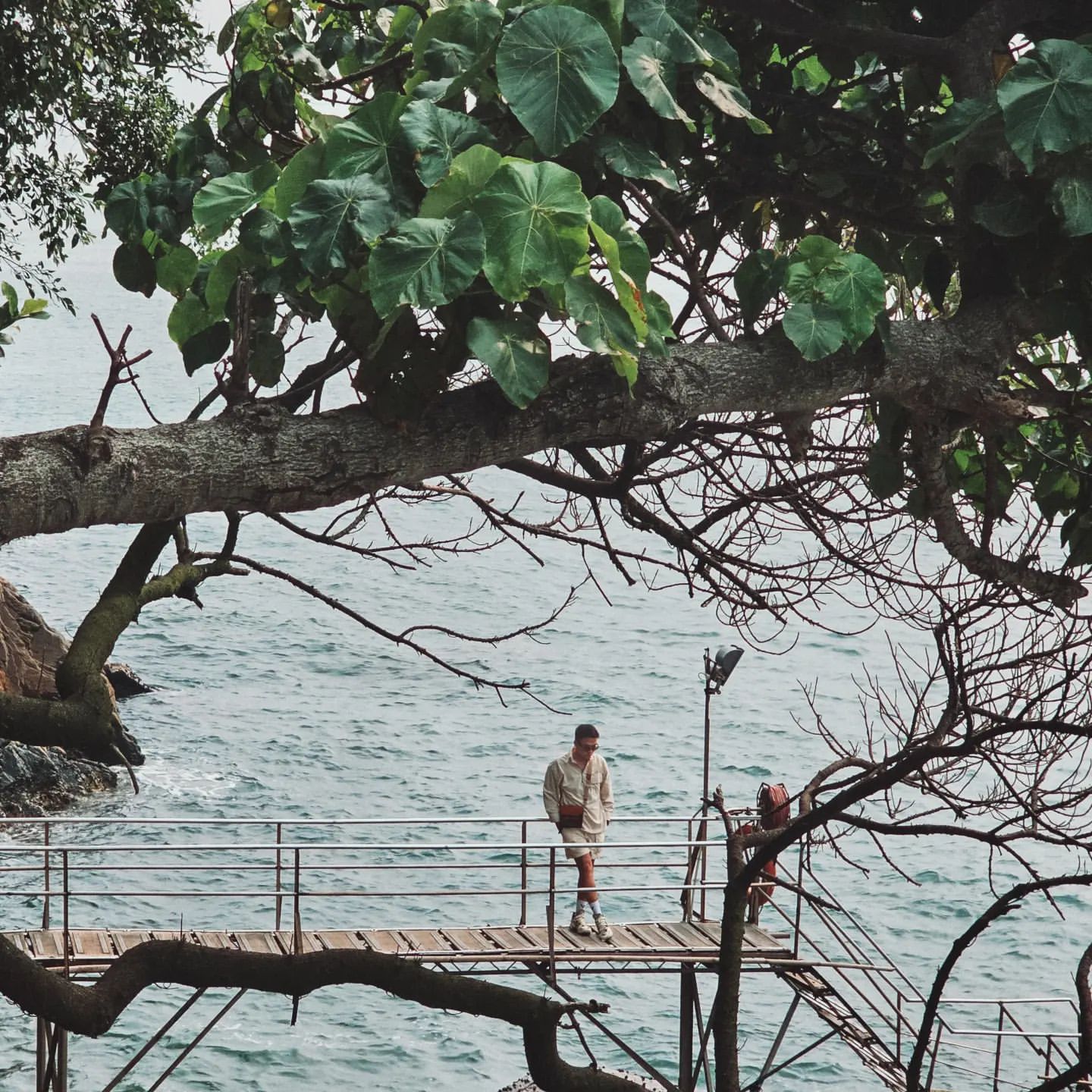Cầu bơi Sai Wan Swimming Shed - địa điểm sống ảo nổi tiếng Hồng Kông Cầu bơi Sai Wan Swimming Shed - địa điểm sống ảo nổi tiếng Hồng Kông