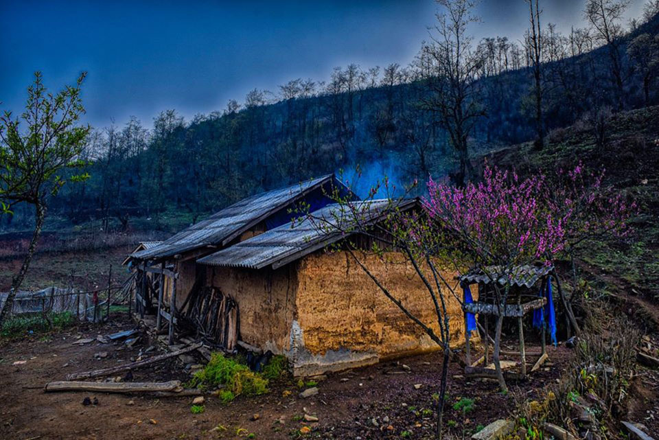 1 góc Y Tý 1 góc Y Tý