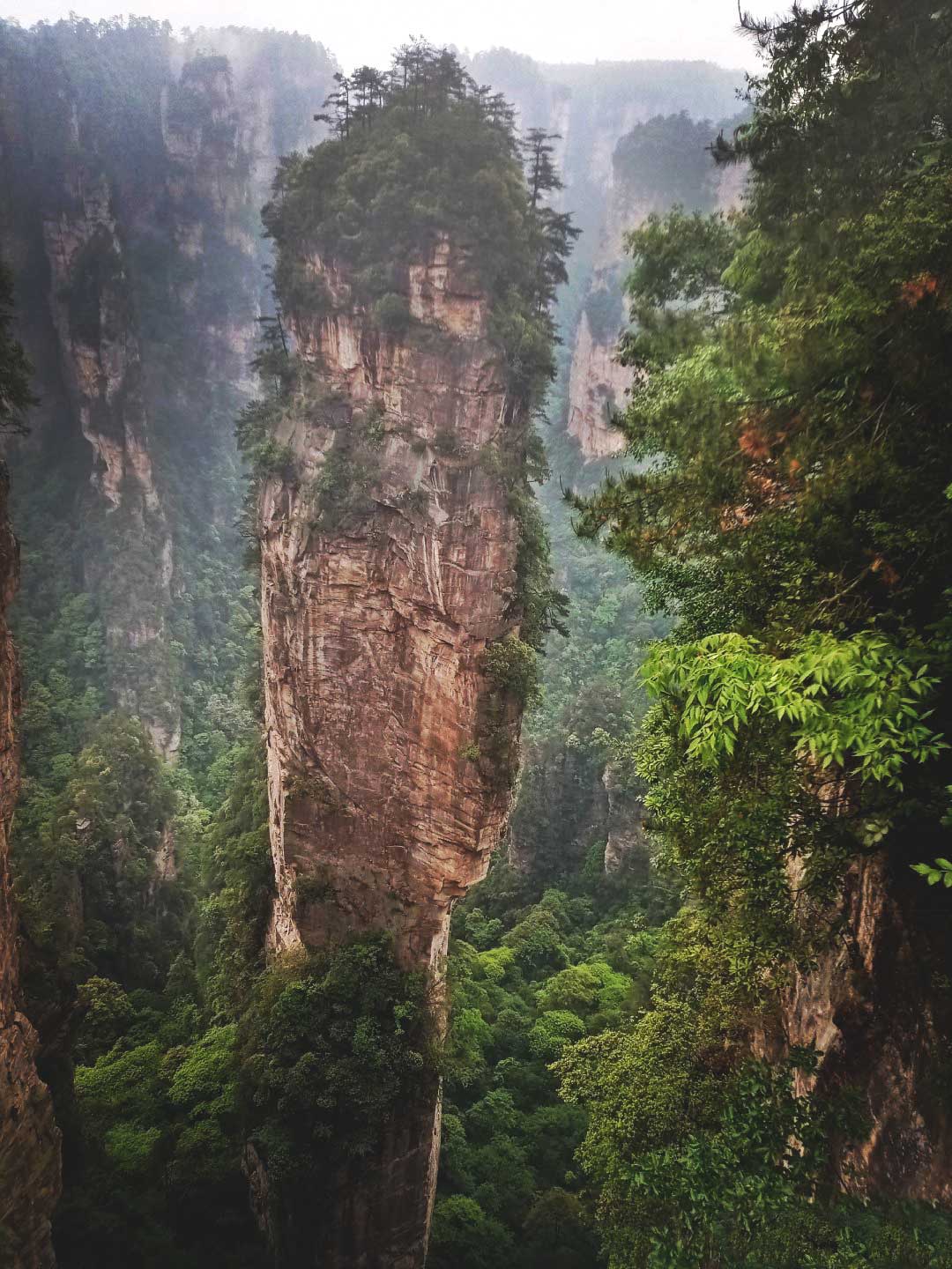 Tour du lịch Trương Gia Giới 02