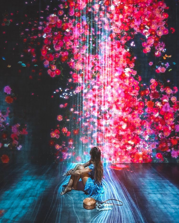 Bảo tàng Khoa học Nghệ Thuật Singapore 01 Bảo tàng Khoa học Nghệ Thuật Singapore 01