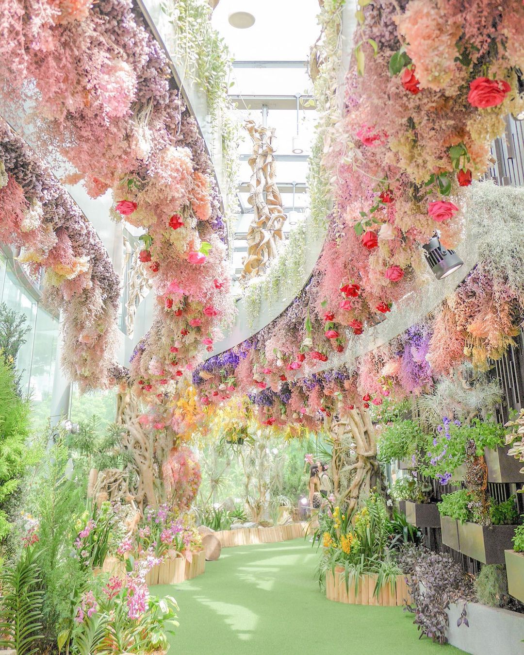 Garden by The Bay - Du lịch Singapore 01 Garden by The Bay - Du lịch Singapore 01