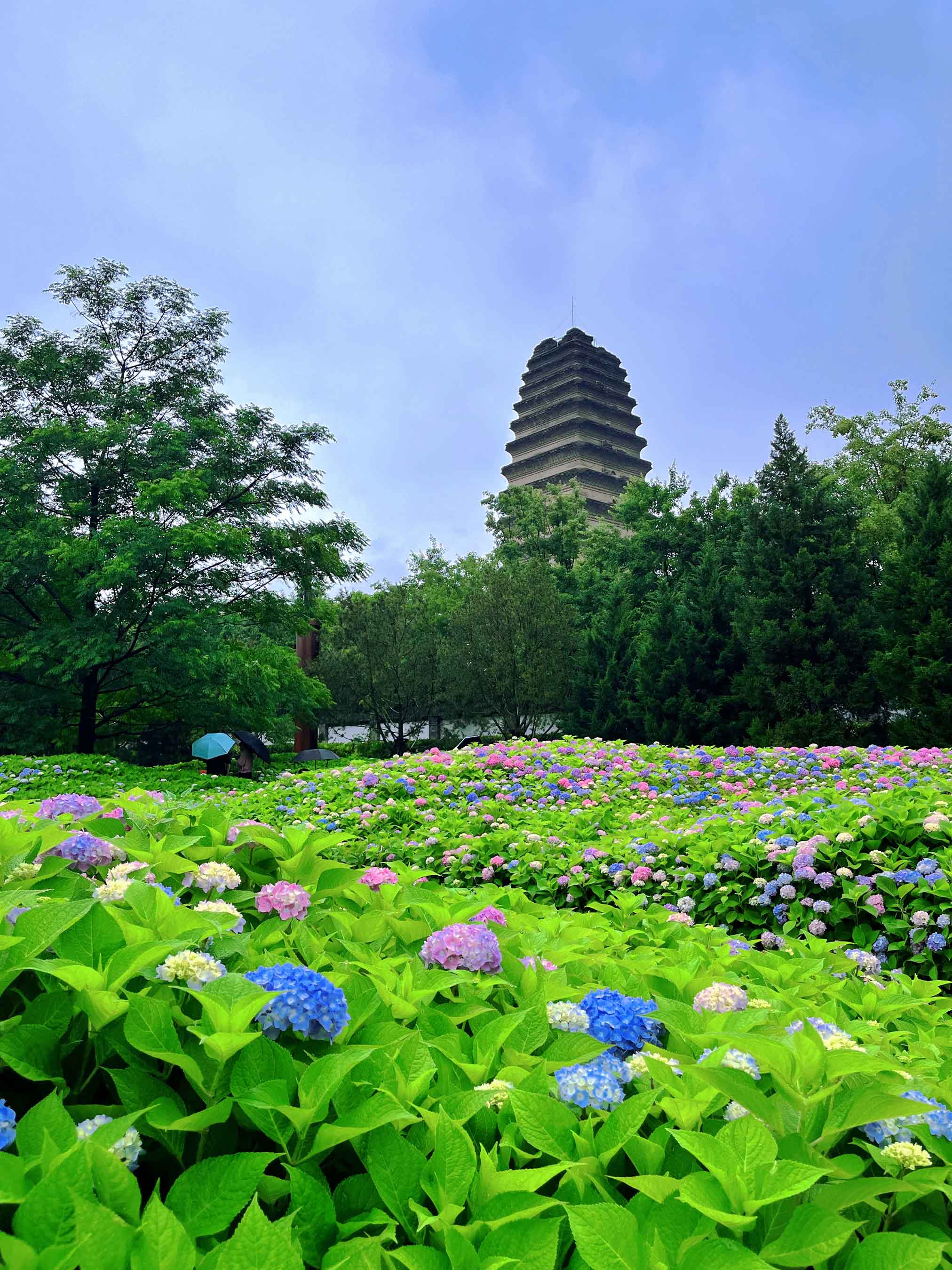 Du lịch Tây An Trung Quốc 05 Du lịch Tây An Trung Quốc 05