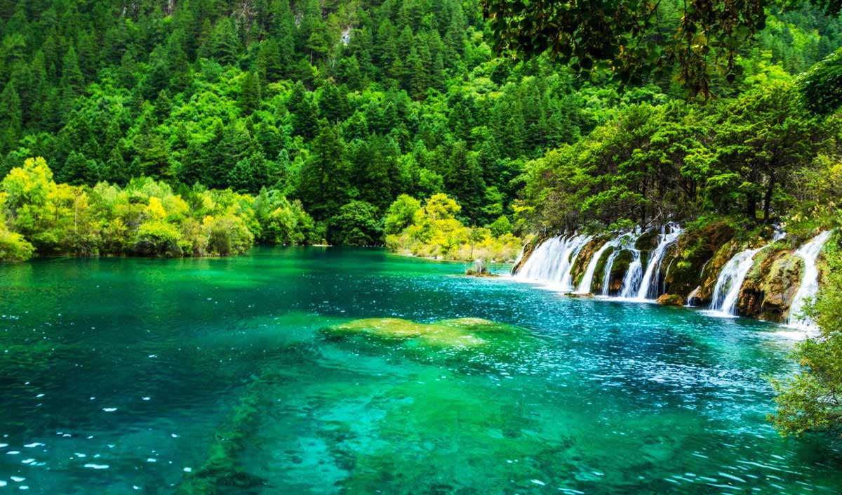 Cửu Trại Câu 03