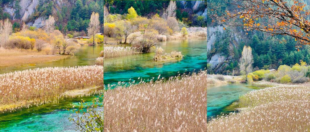 Cửu Trại Câu 04