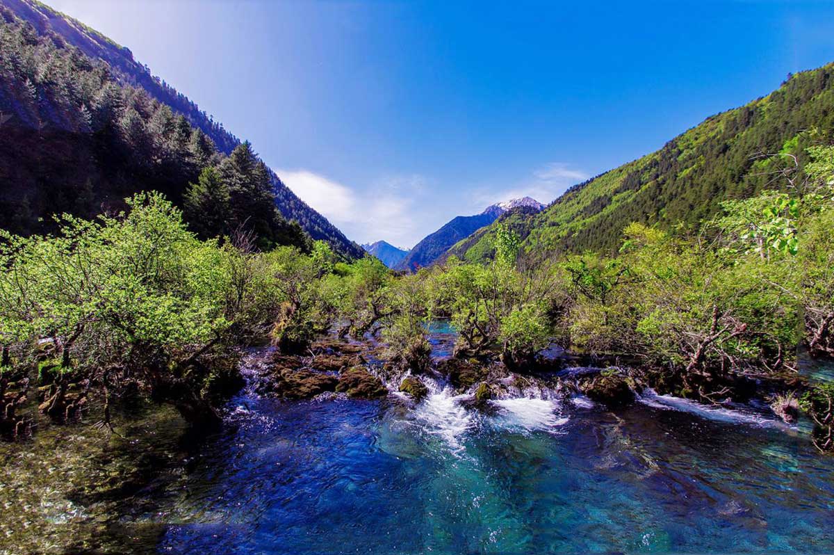 Cửu Trại Câu 05