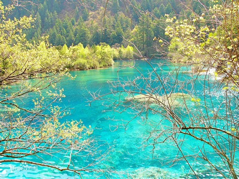 Du lịch Cửu Trại Câu 01