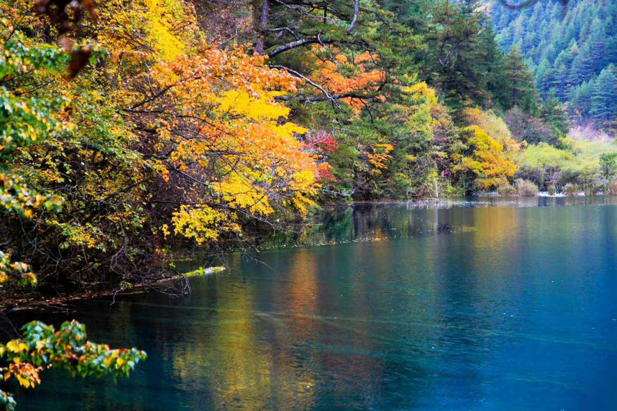 Du lịch Cửu Trại Câu 02