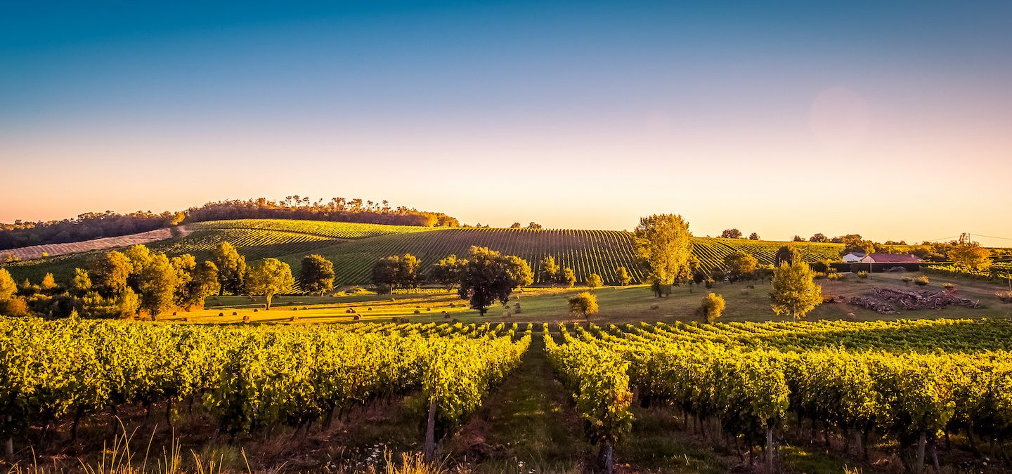 Thánh địa nho Bordeaux - Địa điểm du lịch Pháp nổi tiếng 01