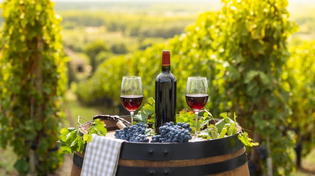 Thánh địa nho Bordeaux - Địa điểm du lịch Pháp nổi tiếng 03