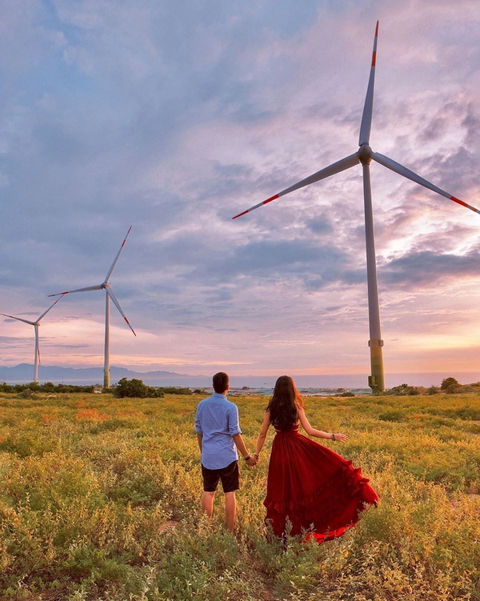 Cánh đồng quạt gió Đầm Nại Cánh đồng quạt gió Đầm Nại