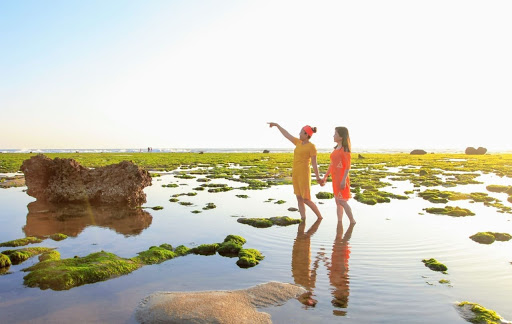 Cánh đồng rêu Ninh Thuận Cánh đồng rêu Ninh Thuận