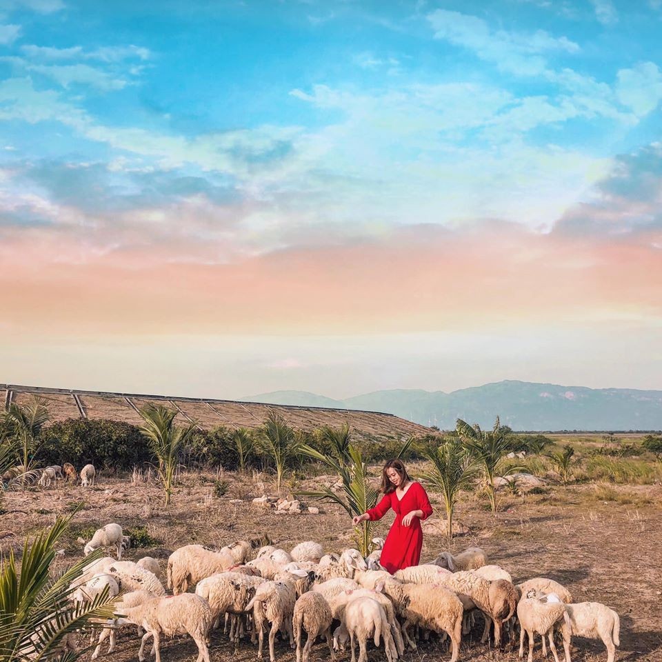 Đồng Cừu An Hòa Đồng Cừu An Hòa