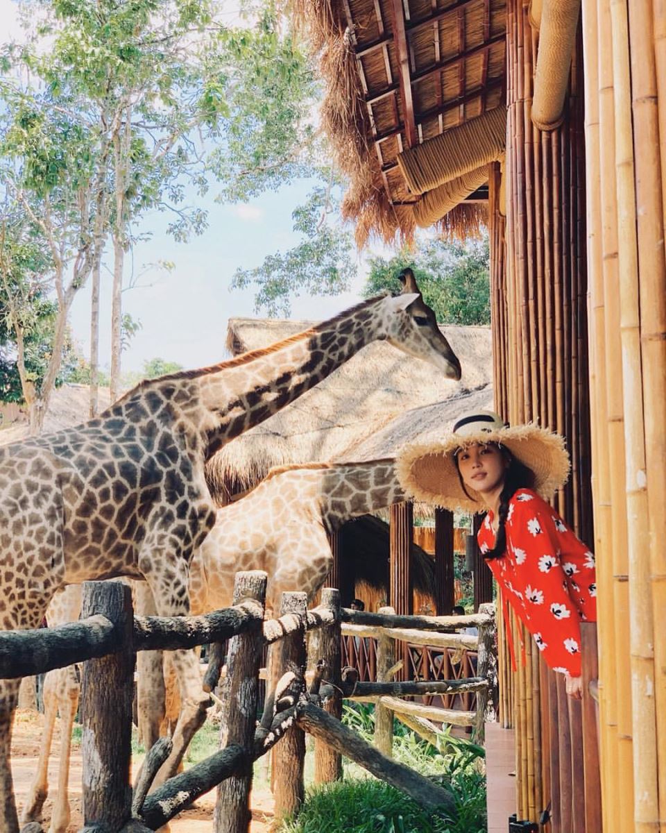 Safari Phú Quốc Safari Phú Quốc