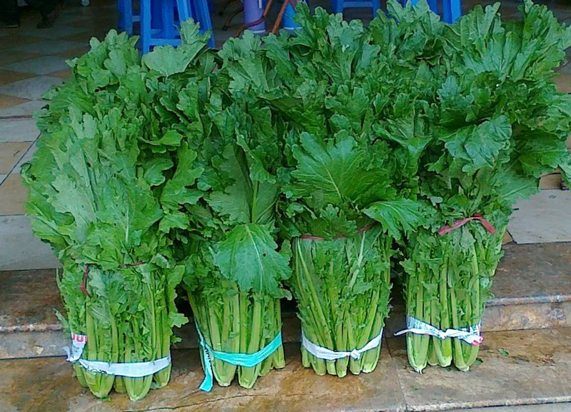 Cải Mèo Sapa Cải Mèo Sapa