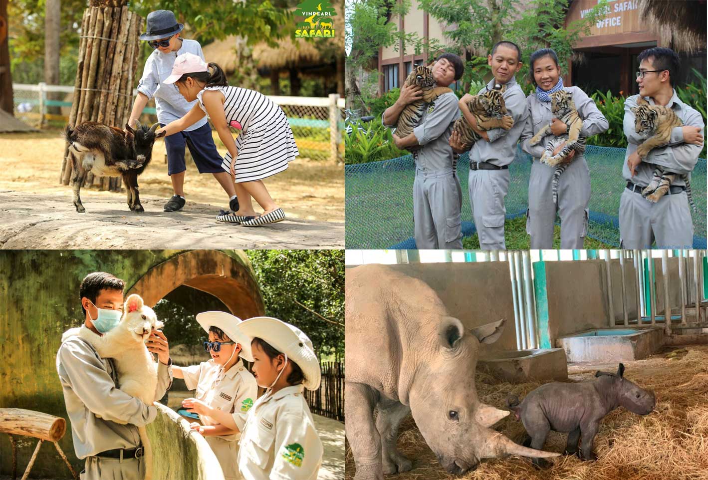 Kid Zoo Safari Phú Quốc