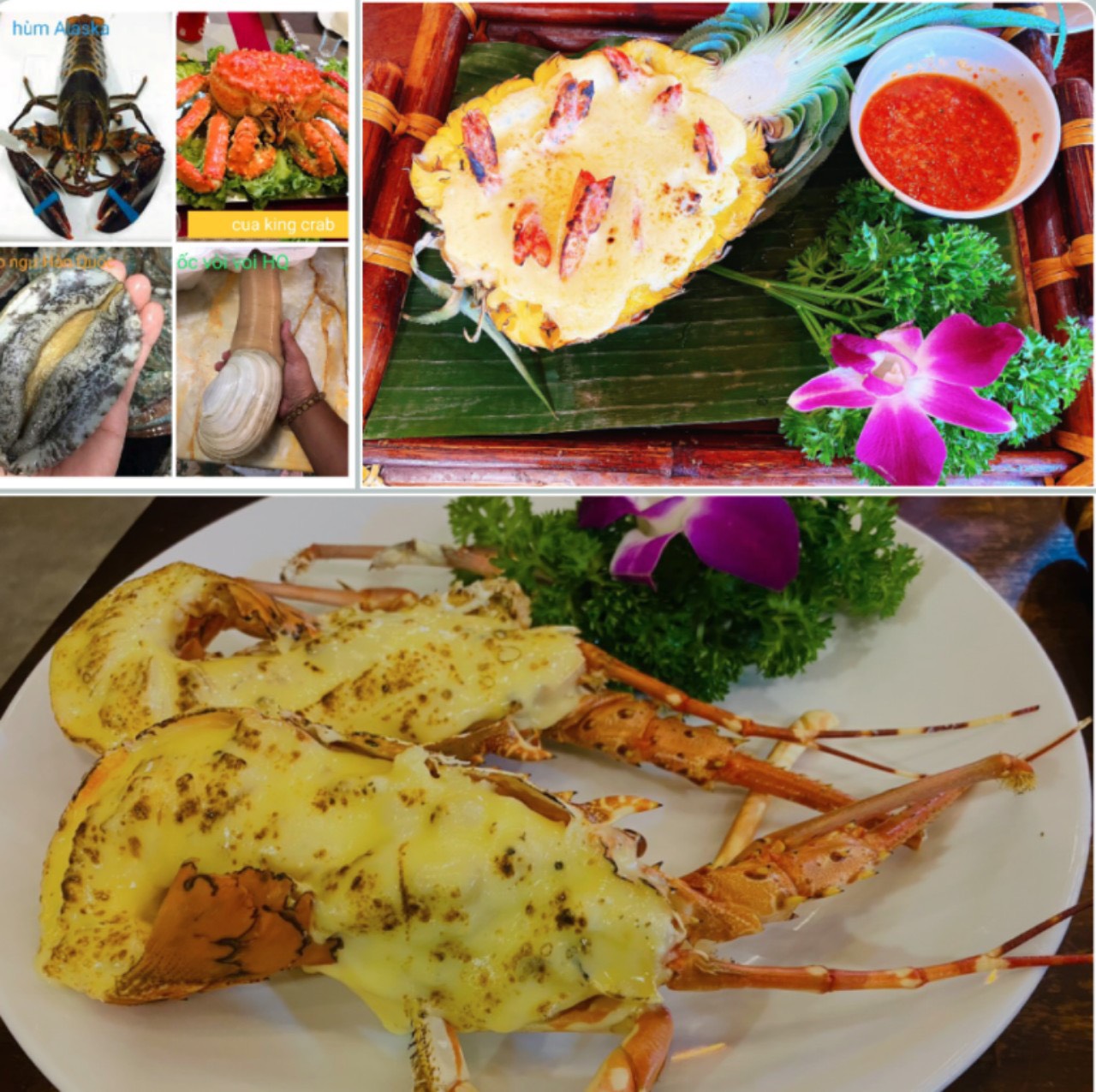 Quán còn có nhiều loại hải sản nhập khẩu được chế biến hấp dẫn. Quán còn có nhiều loại hải sản nhập khẩu được chế biến hấp dẫn.