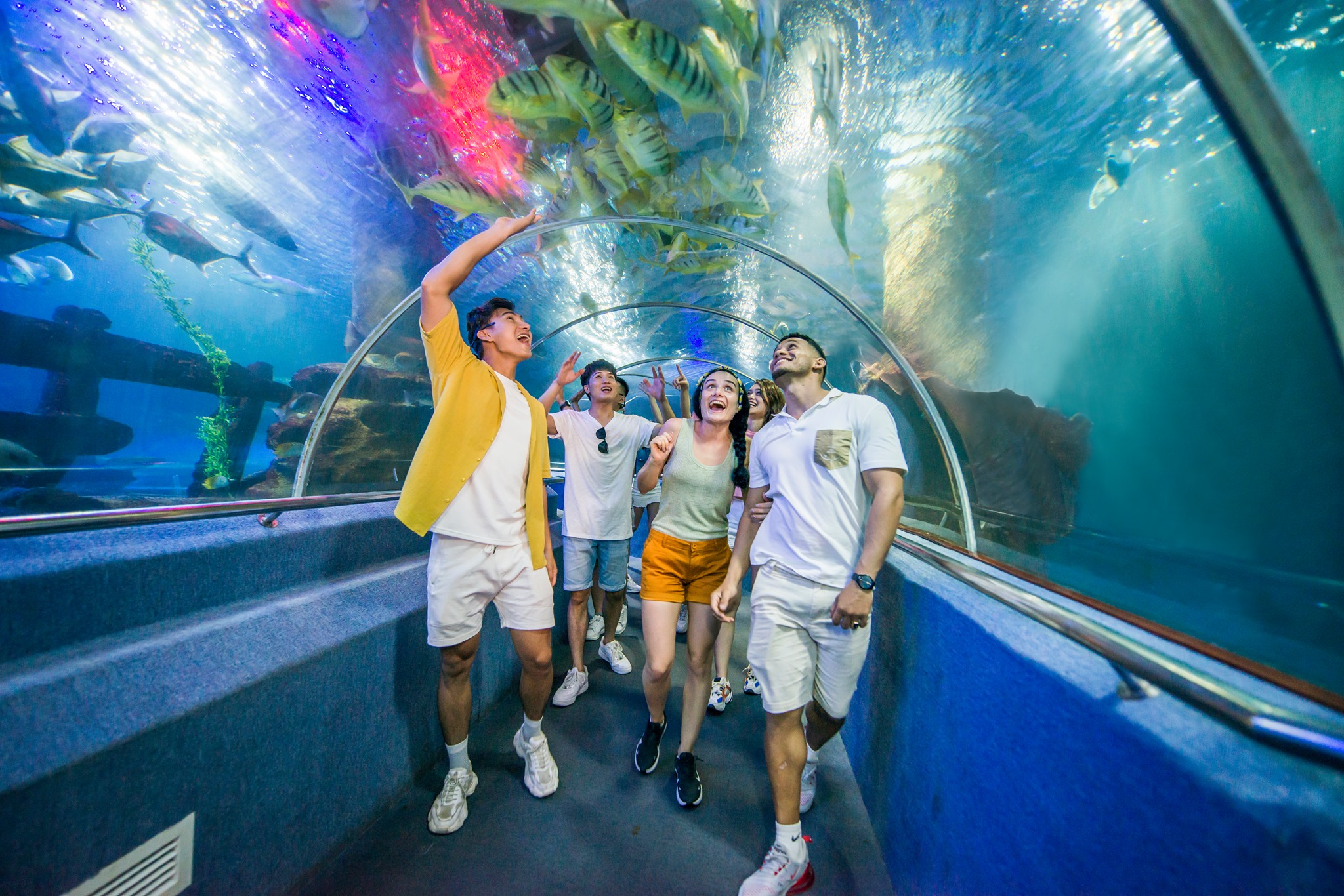 Vinwonders Nha Trang 02 Vinwonders Nha Trang 02